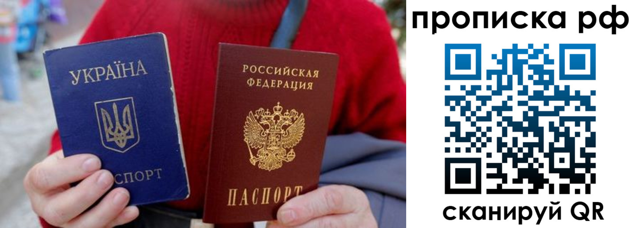 где прописаться в Ленинградской области
