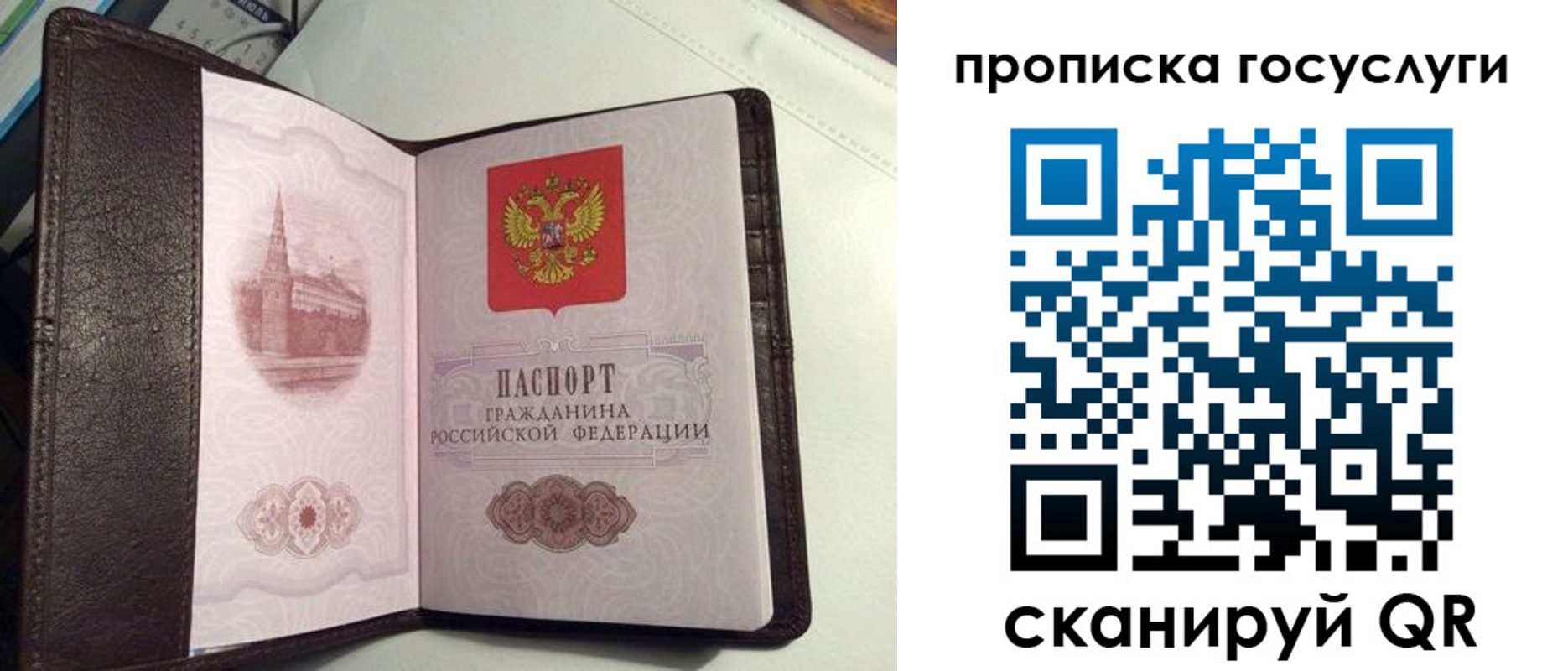 временная прописка в Ленинградской области